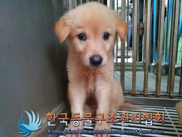 한국동물구조관리협회_441404202400414
