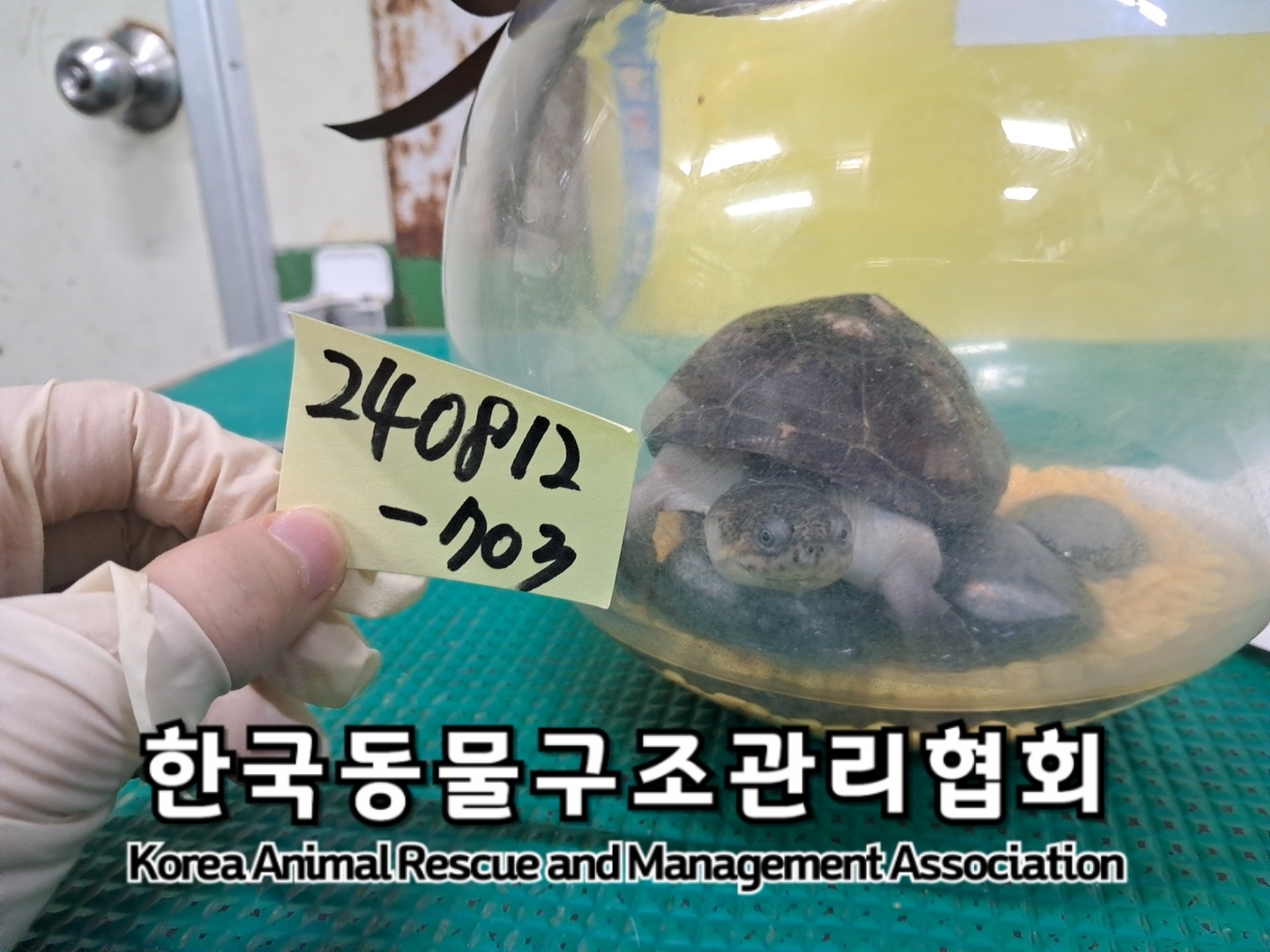 한국동물구조관리협회_441404202400415