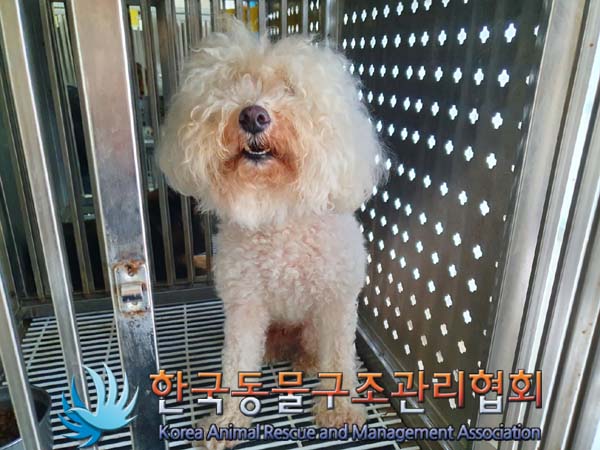 한국동물구조관리협회_441406202401341