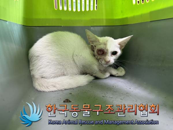 종료(자연사) 한국…