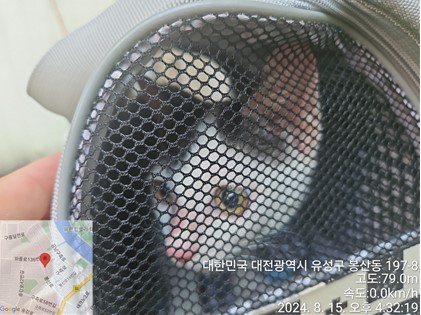 대전동물보호센터_430367202400560