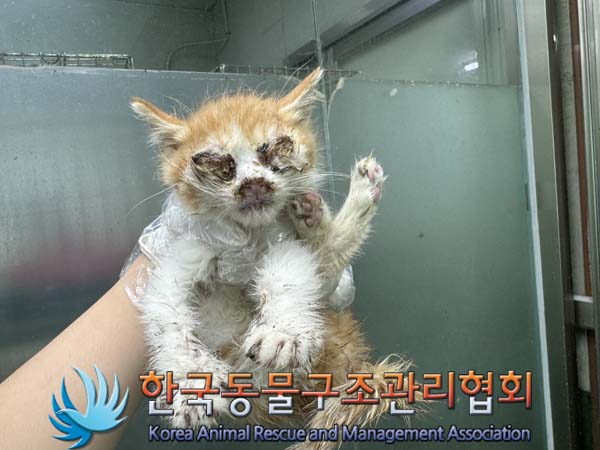 종료(자연사) 한국…