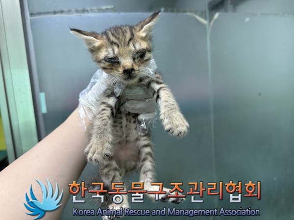 종료(자연사) 한국…