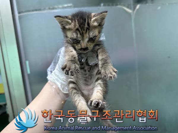 종료(자연사) 한국…