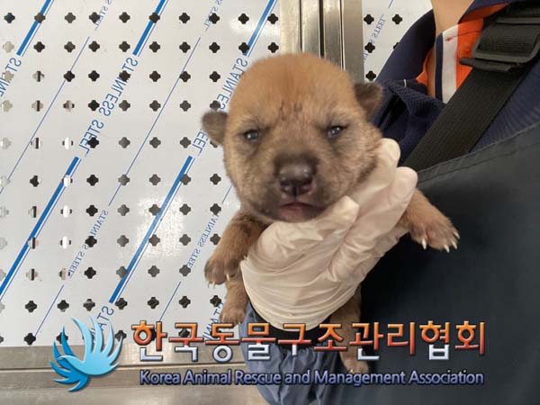 한국동물구조관리협회_441560202400957