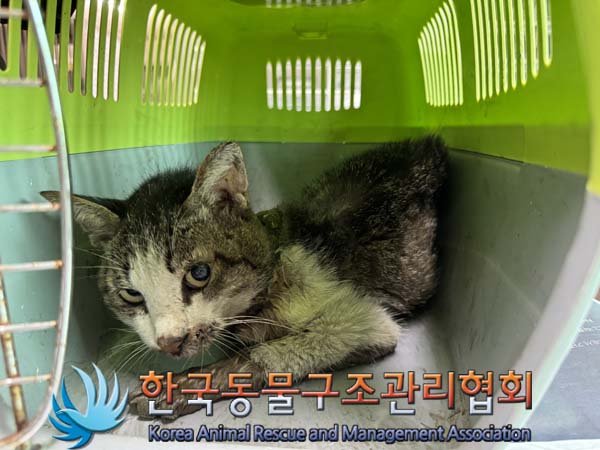 종료(자연사) 한국…