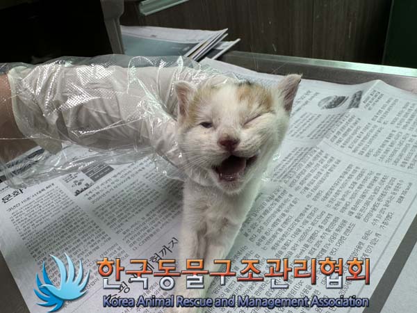 종료(자연사) 한국…