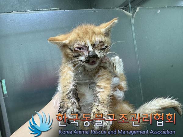 종료(자연사) 한국…