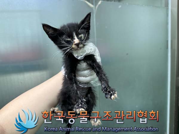 종료(자연사) 한국…