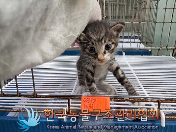 종료(자연사) 한국…