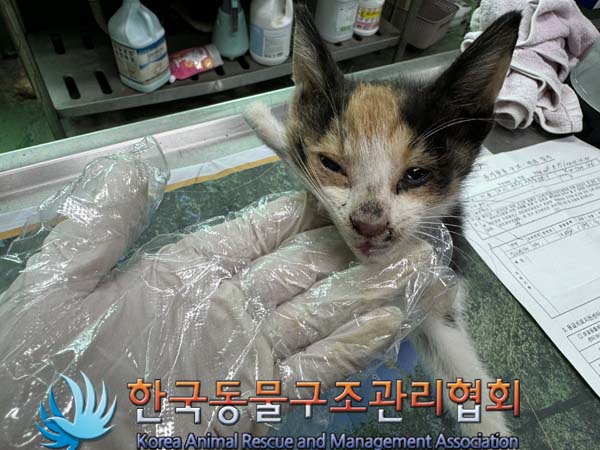 종료(자연사) 한국…
