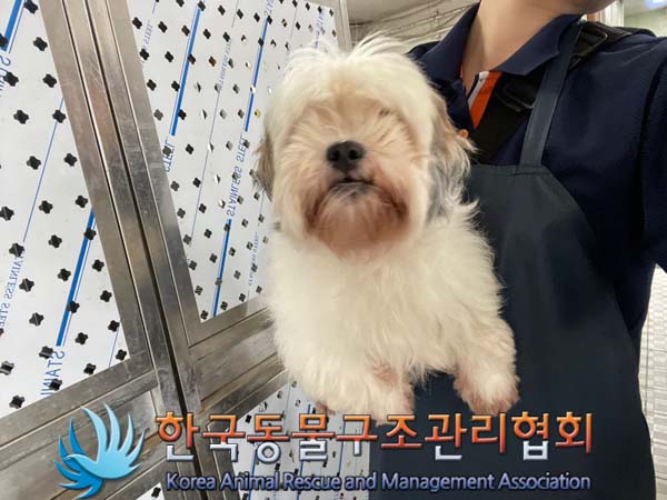 종료(반환) 시츄의…