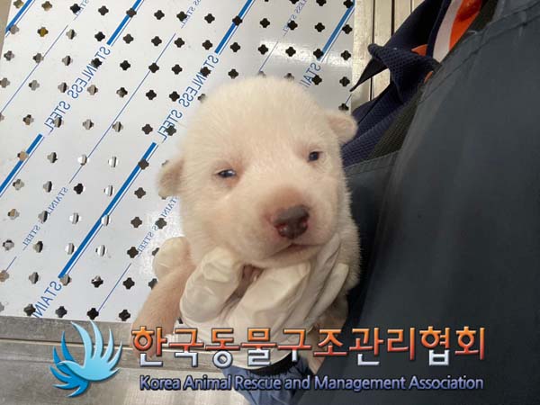 종료(자연사) 믹스…