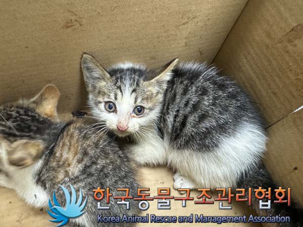 종료(자연사) 한국…