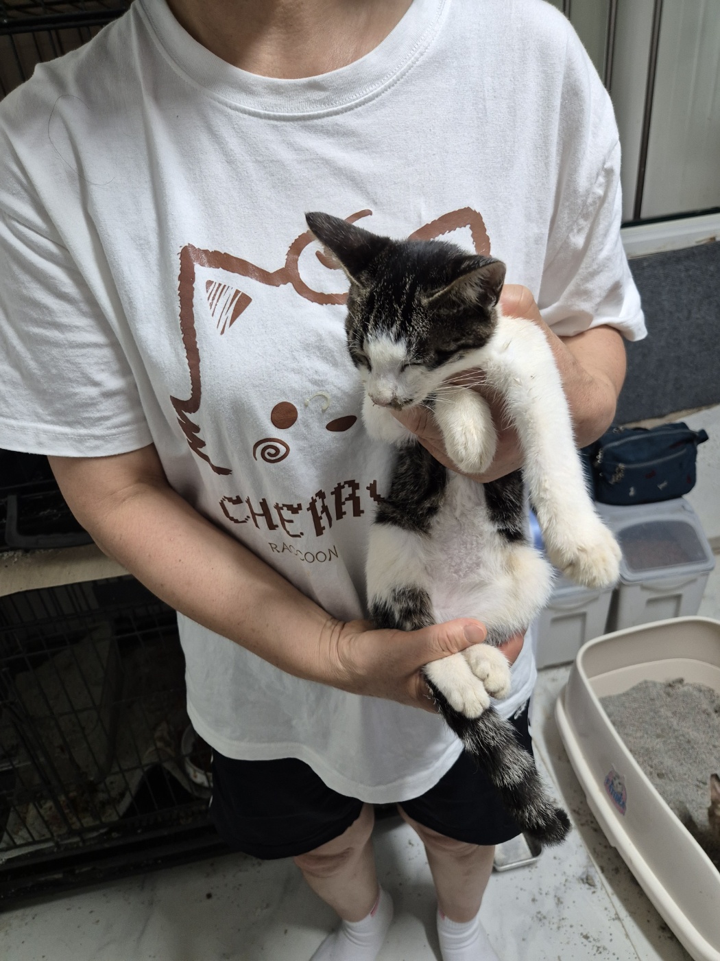우리동물병원_428356202401408