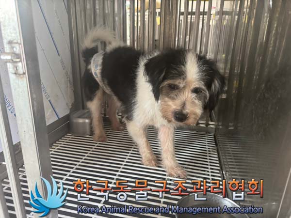 한국동물구조관리협회_441559202400900