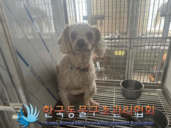 한국동물구조관리협회_441560202400963