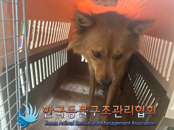 한국동물구조관리협회_441559202400902