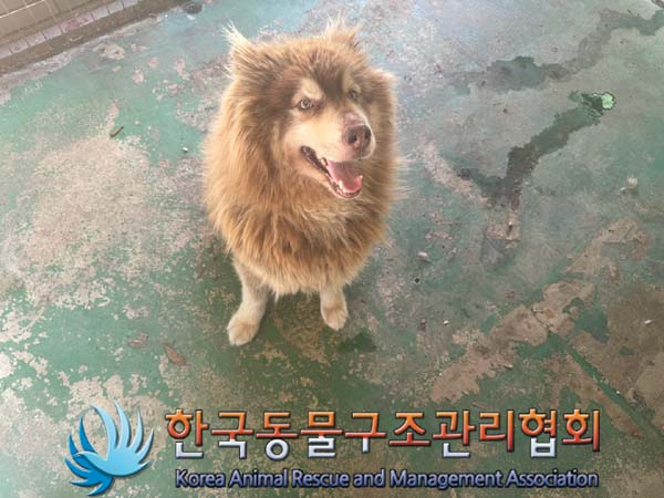 종료(반환) 말라뮤…