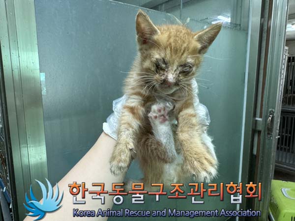 한국동물구조관리협회_411323202400872