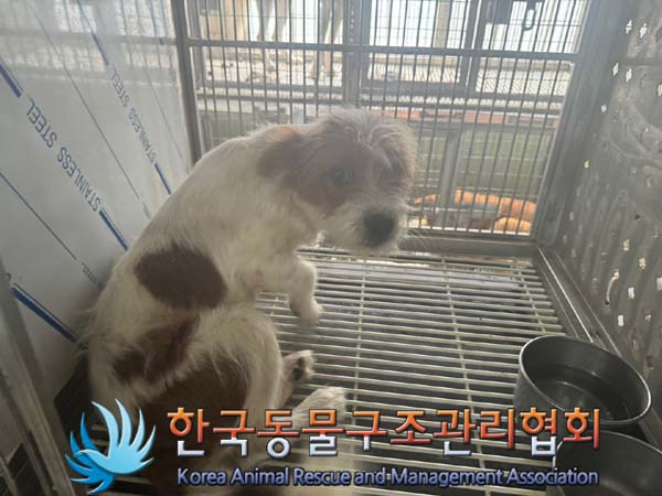 한국동물구조관리협회_441560202400961