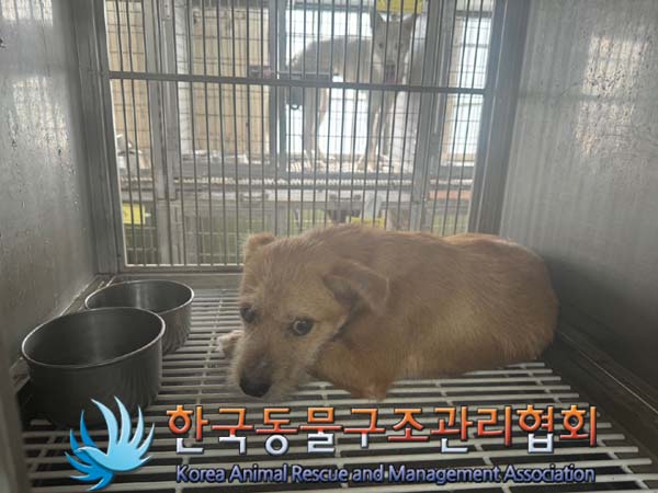 한국동물구조관리협회_441560202400962