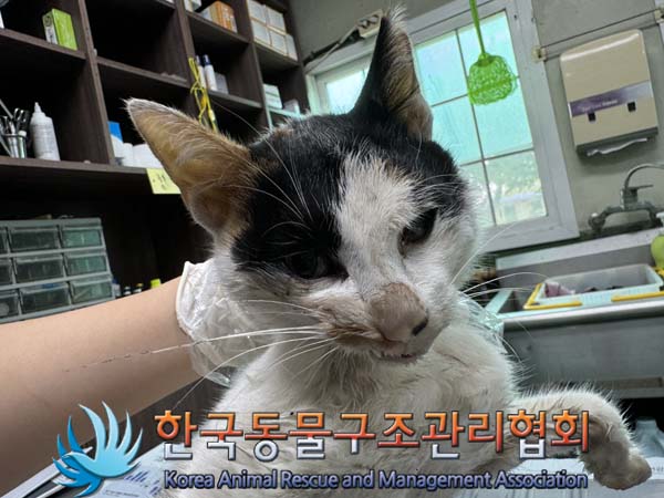 종료(자연사) 한국…