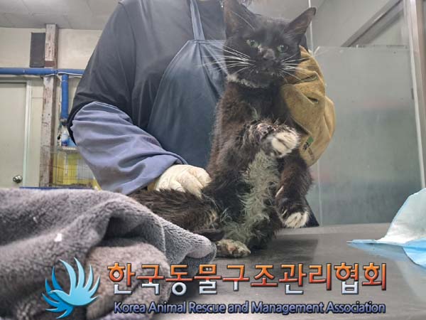 종료(자연사) 한국…