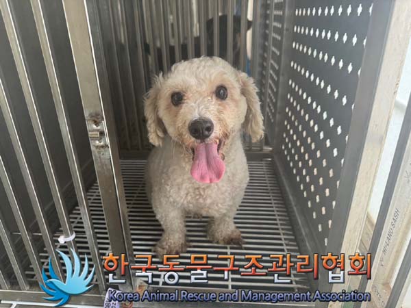 한국동물구조관리협회_441382202400652