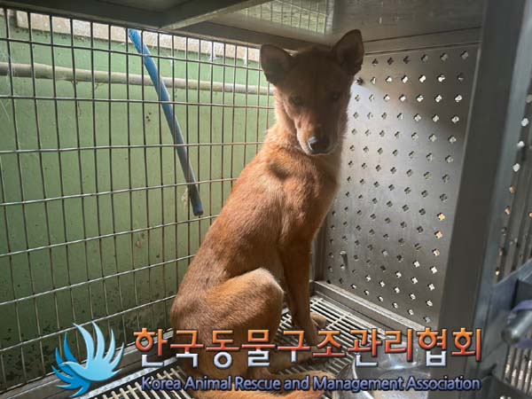 한국동물구조관리협회_441406202401352