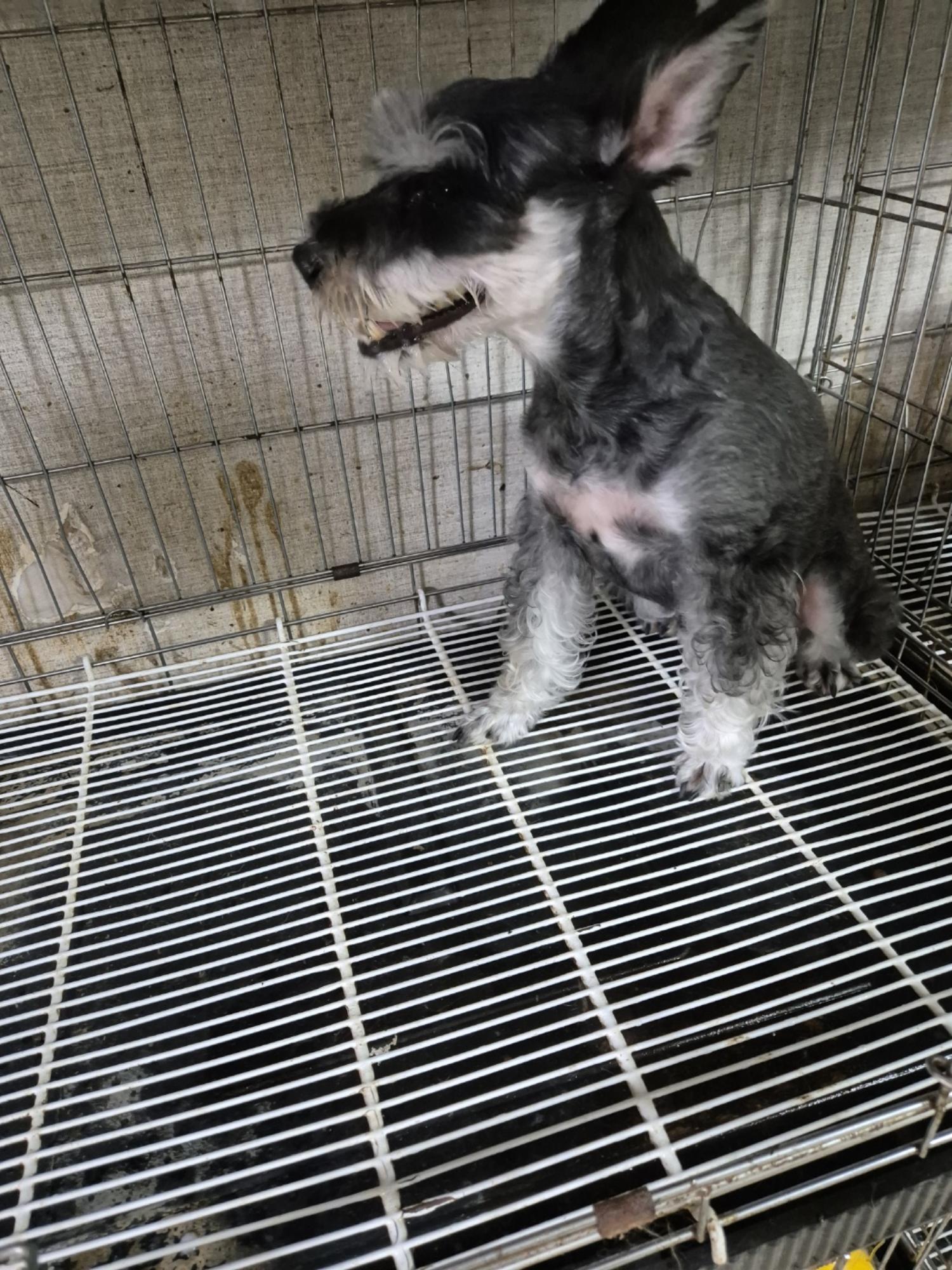 우리동물병원_428356202401409