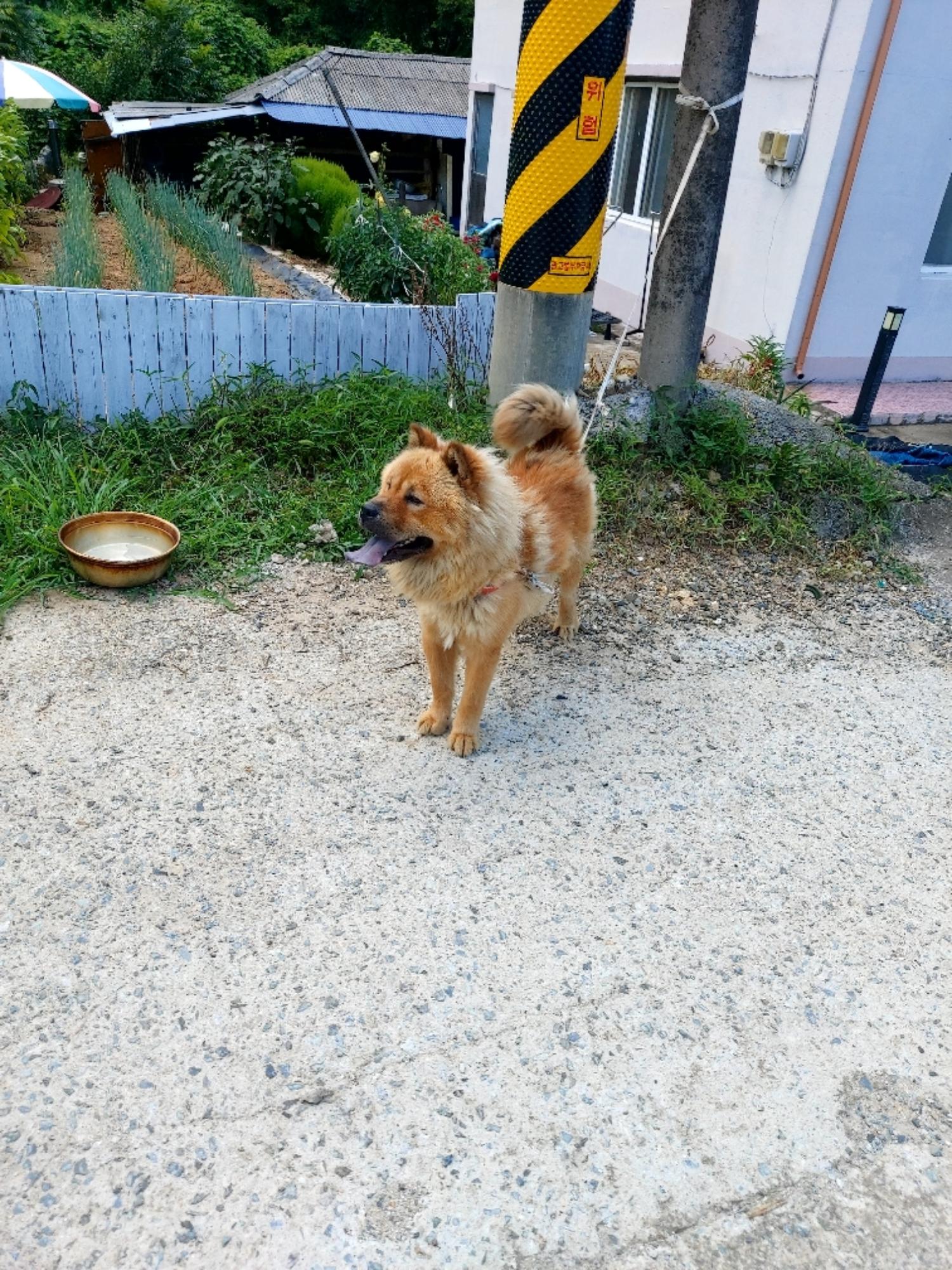 제일동물병원_444455202400469