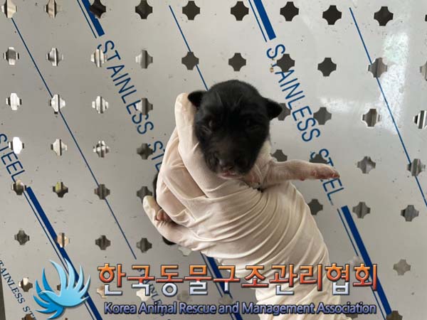 종료(자연사) 믹스…