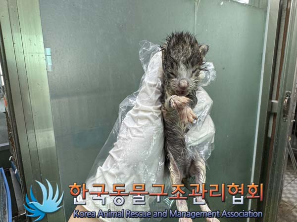 종료(자연사) 한국…
