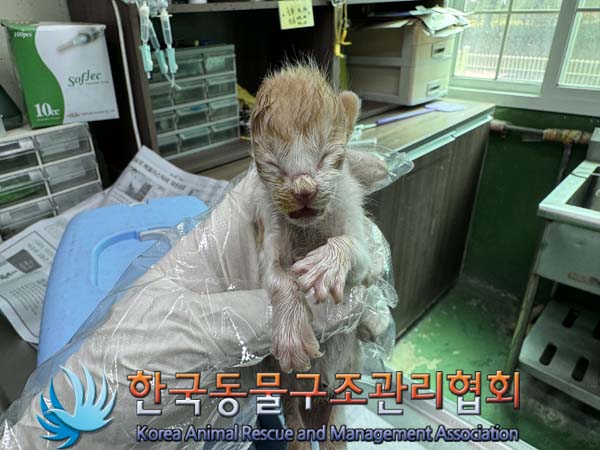한국동물구조관리협회_411303202400347