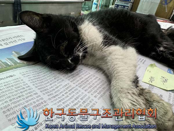 한국동물구조관리협회_411301202400294