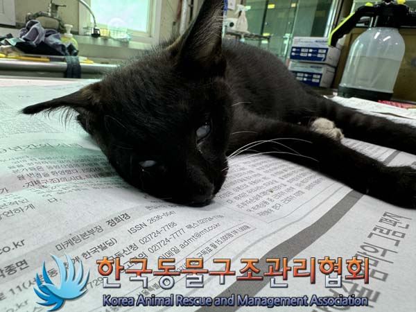 종료(자연사) 한국…