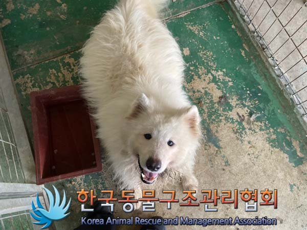 한국동물구조관리협회_441414202400629