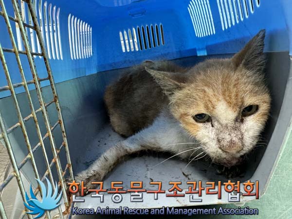 한국동물구조관리협회_411315202400412