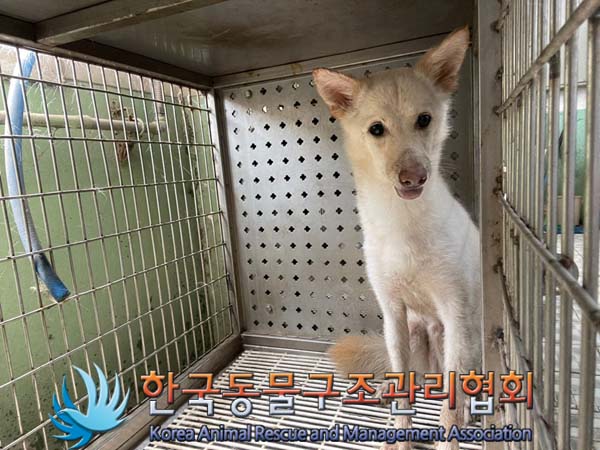 한국동물구조관리협회_411303202400348