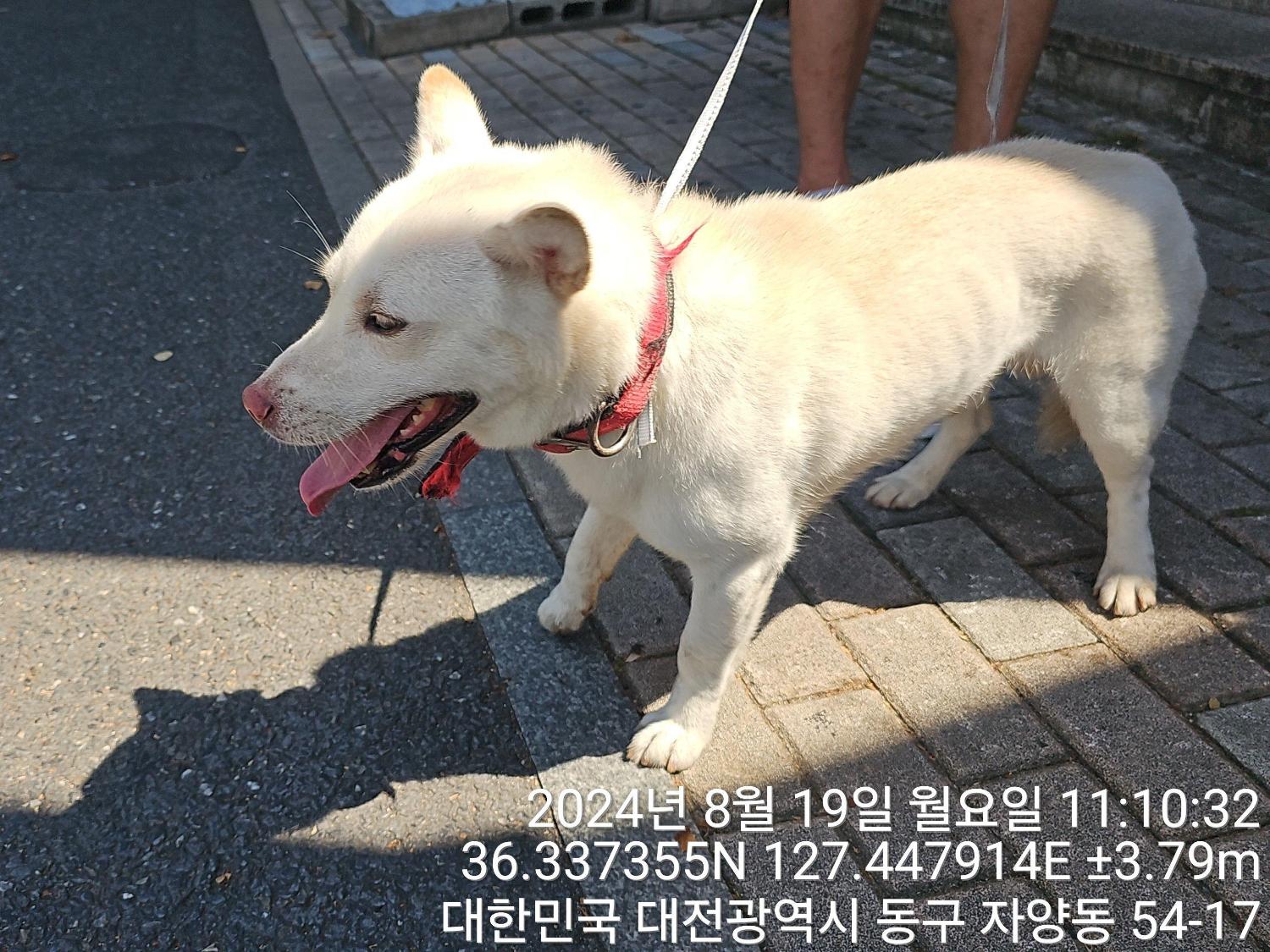 대전동물보호센터_430364202400661