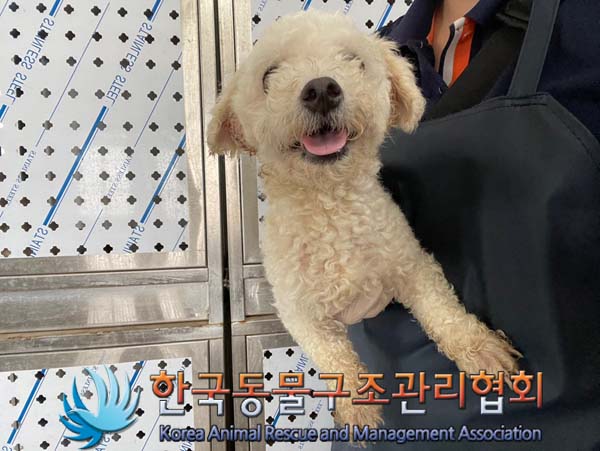 한국동물구조관리협회_411310202400603