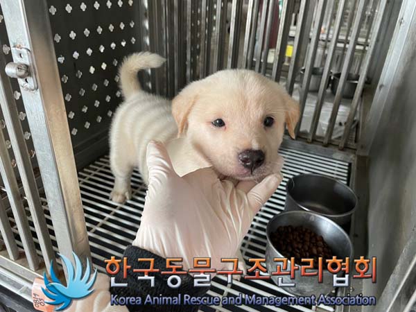 한국동물구조관리협회_441559202400905
