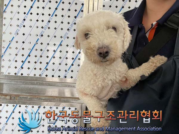 한국동물구조관리협회_411310202400602