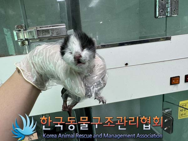 한국동물구조관리협회_411316202400427