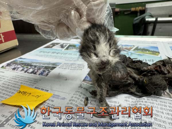 한국동물구조관리협회_411316202400428