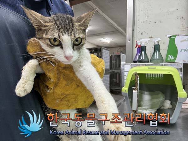 한국동물구조관리협회_411315202400416