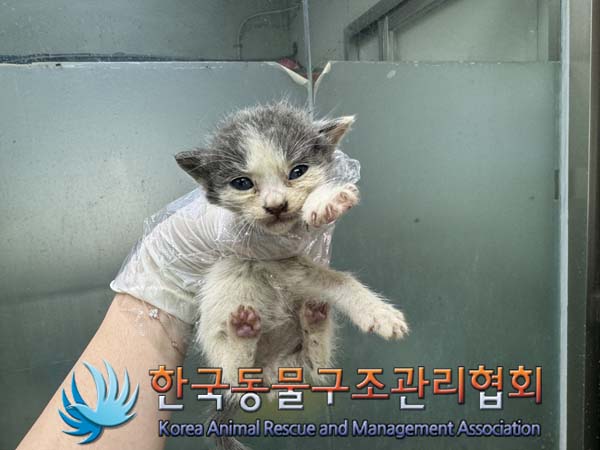 한국동물구조관리협회_441404202400419