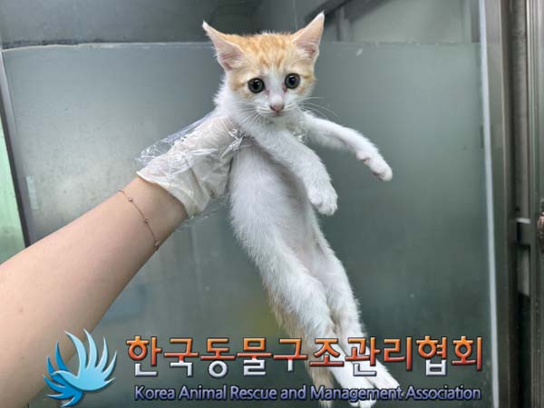 한국동물구조관리협회_441406202401362