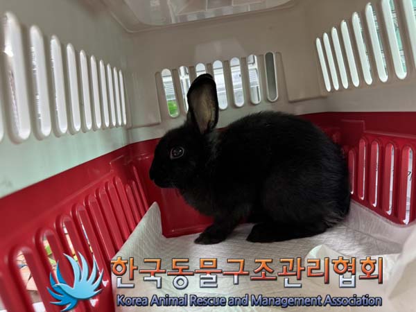 한국동물구조관리협회_441406202401357